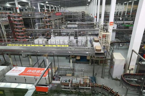 獨家優品價高何解？內地游客眼中的香港食品出口新觀察